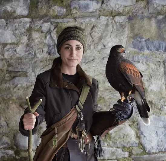 Ashford castle falconry